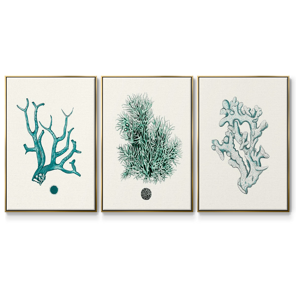 Antique Coastal Coral IV - Framed Premium Gallery Wrapped Canvas L Frame 3 Piece Set - Ready to Hang