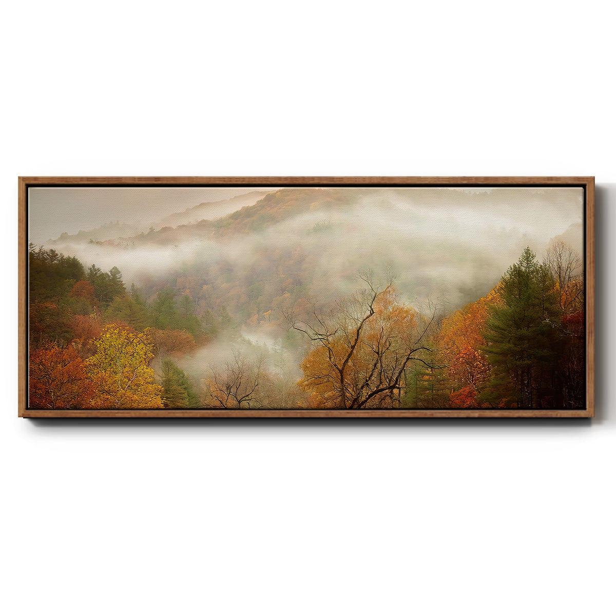 Photography Study Autumn Mist - Floater Framed Canvas Print