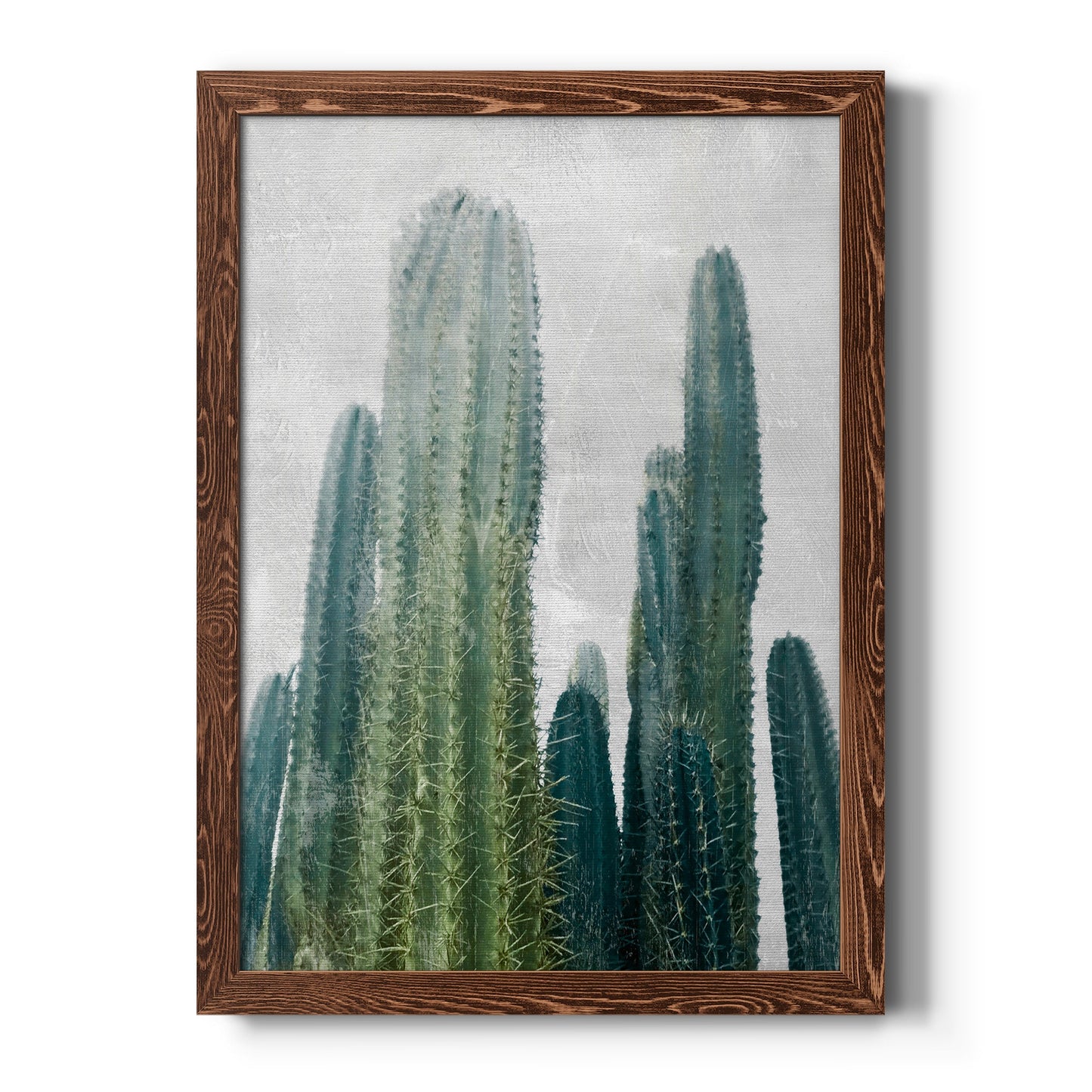 Aruba Cacti I - Barnwood Framed Canvas Print