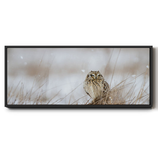 Prairie Winter - Floater Framed Canvas Print