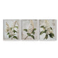 Floral Study Series LXXXVII - Restickable Framed Art Set