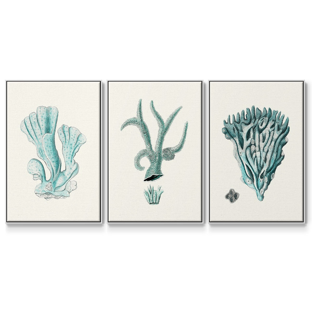 Antique Coastal Coral X - Framed Premium Gallery Wrapped Canvas L Frame 3 Piece Set - Ready to Hang