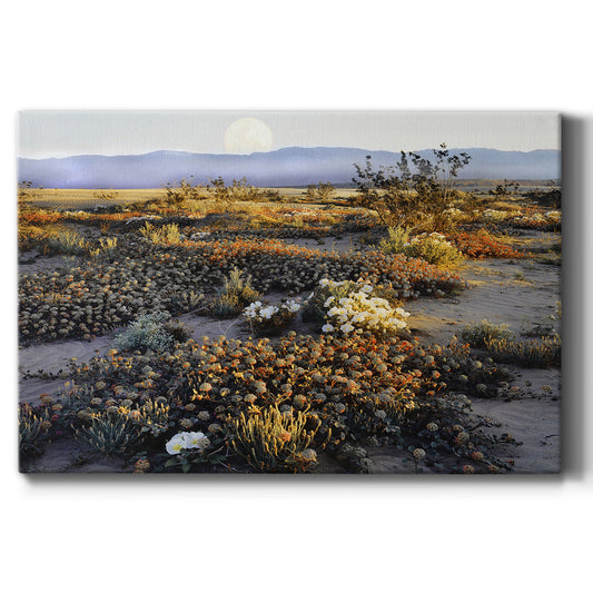 Anza Borrego Desert Premium Gallery Wrapped Canvas - Ready to Hang