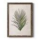 Palm Botanical I - Barnwood Framed Canvas Print