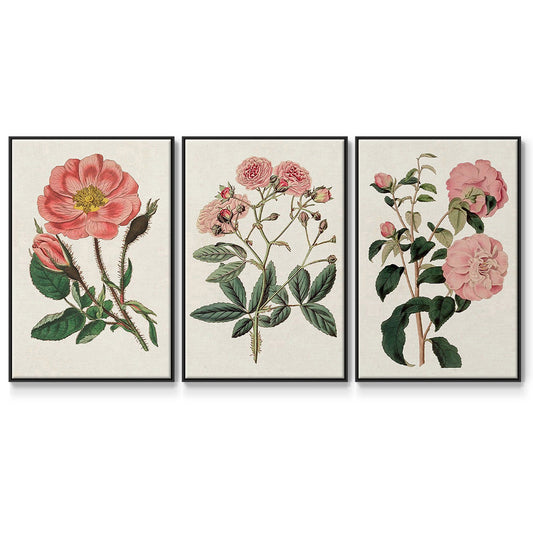 Pink Floral Mix IV - Floater Framed Canvas Set