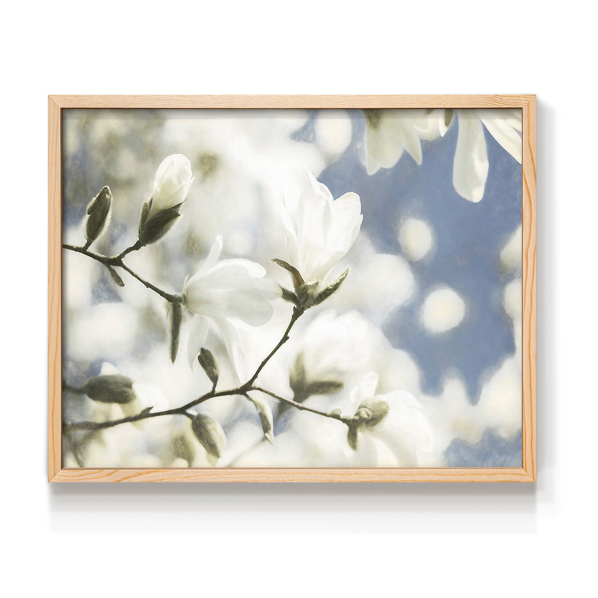 43929,magnolia,blossoms,spring,flowers,garden,blue sky,nature,beauty,tranquility,blooming,sunlight,botanical,peaceful,outdoors,flora,petals,branches,park,season,fresh,growth,serene,scenic,backdrop,environment,landscape,sweet,charm,floral,organic,foliage,springtime,seasonality,colors,trees,nature lovers,wildlife,aesthetic,Re-stickable,Plants & Flowers