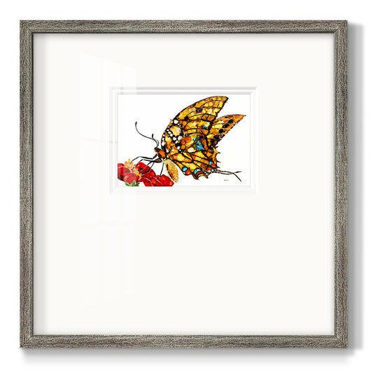 Wings II - Double Matboard Framed Print