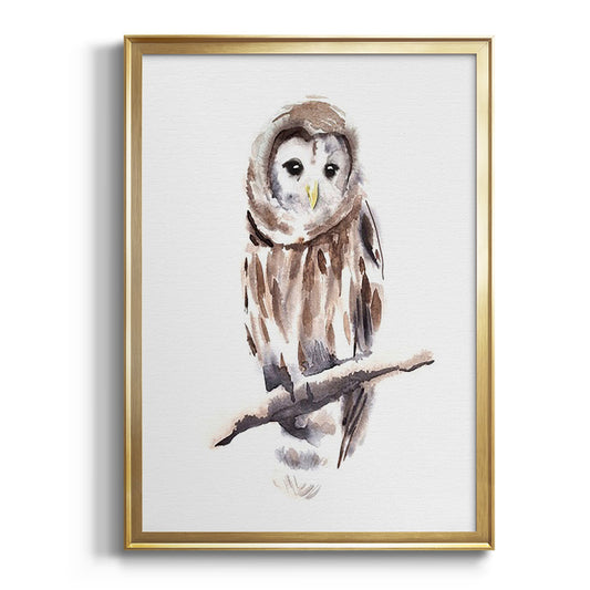 Barred Owl Impressions I - Modern Framed Canvas Print