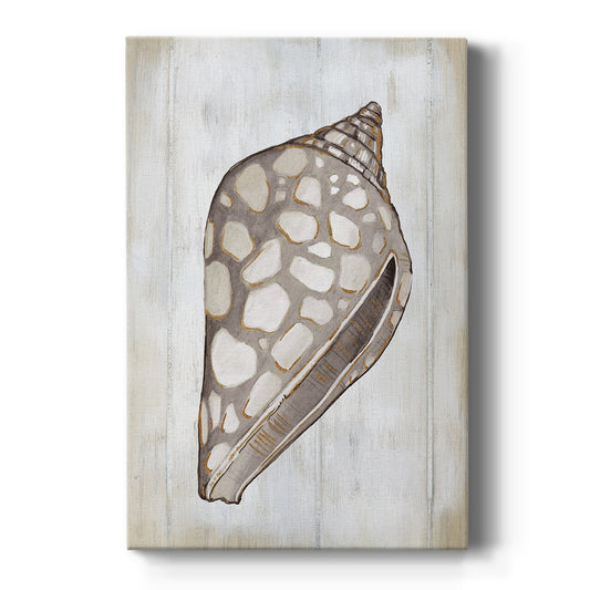 Ocean Cone I - Canvas Art Print