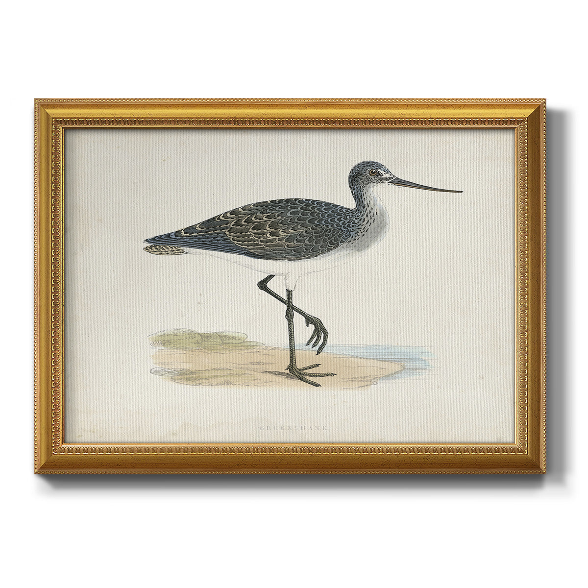 Morris Sandpipers III Premium Framed Canvas- Ready to Hang