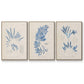 Blue Marine Algae I - Floater Framed Canvas Set