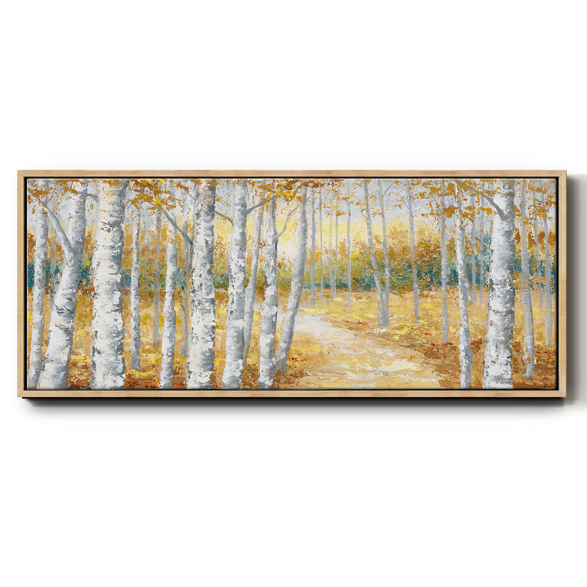 Birch Path I - Floater Framed Canvas Print