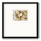 Neutral Wall Flower II - Double Matboard Framed Print
