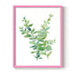 Eucalyptus III - Restickable Framed Art Print