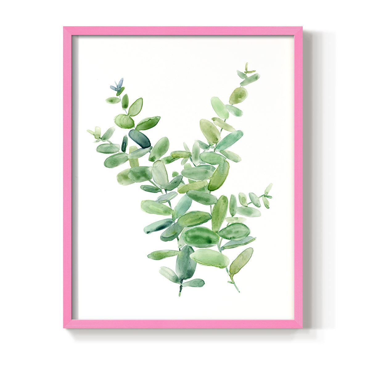 Eucalyptus III - Restickable Framed Art Print