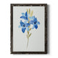 Blue Blossom Botanical III - Barnwood Framed Canvas Print
