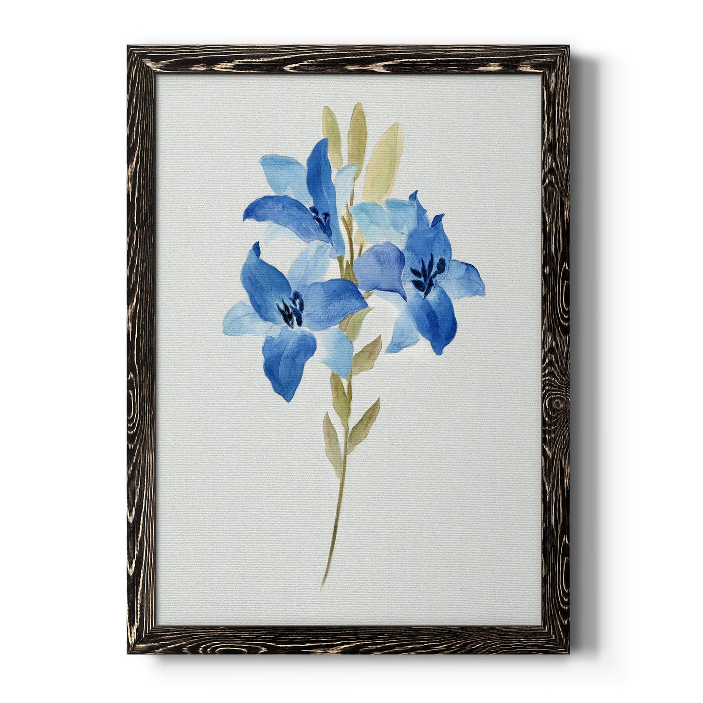 Blue Blossom Botanical III - Barnwood Framed Canvas Print