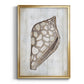 Ocean Cone I - Modern Framed Canvas Print