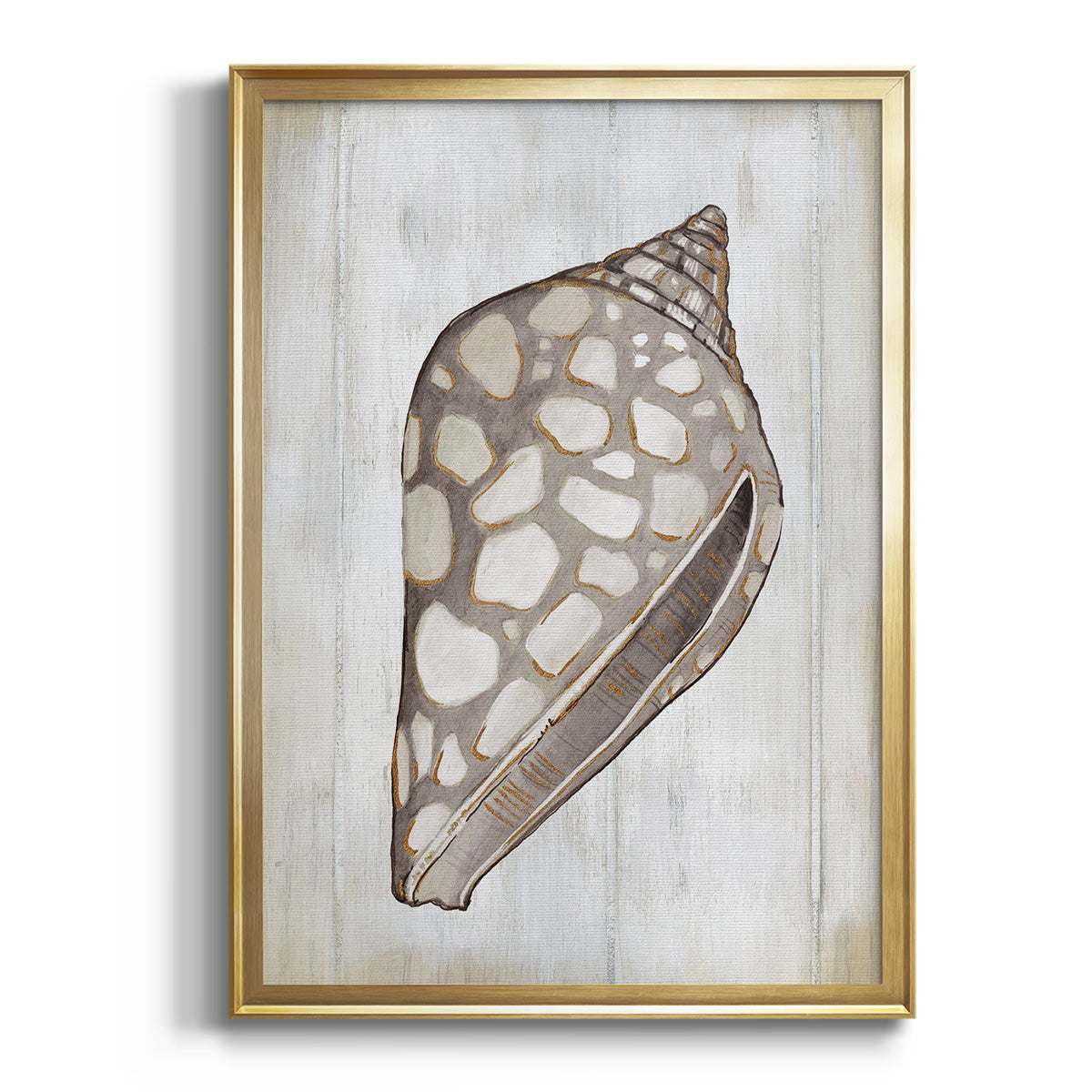 Ocean Cone I - Modern Framed Canvas Print