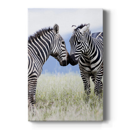 African Affection - Canvas Art Print
