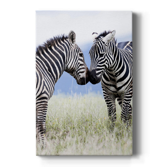 African Affection - Canvas Art Print