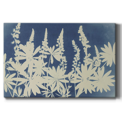 Lovely Lupine - Canvas Art Print