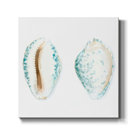 Watercolor Shells VI - Canvas Art Print