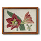 Amaryllis Splendor I Premium Framed Canvas- Ready to Hang