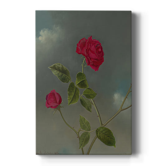 Canvas art print featuring a still life of roses arranged with soft light and muted background on a clean white background.