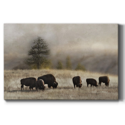 Ridge Grazing - Canvas Art Print