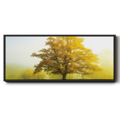 The Sentinel - Floater Framed Canvas Print