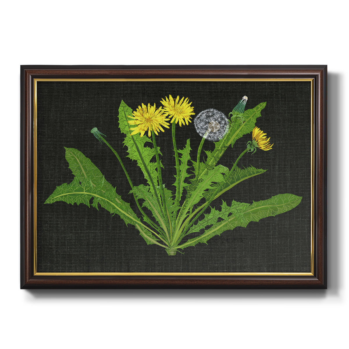 Wild Dandelion II Premium Framed Canvas- Ready to Hang