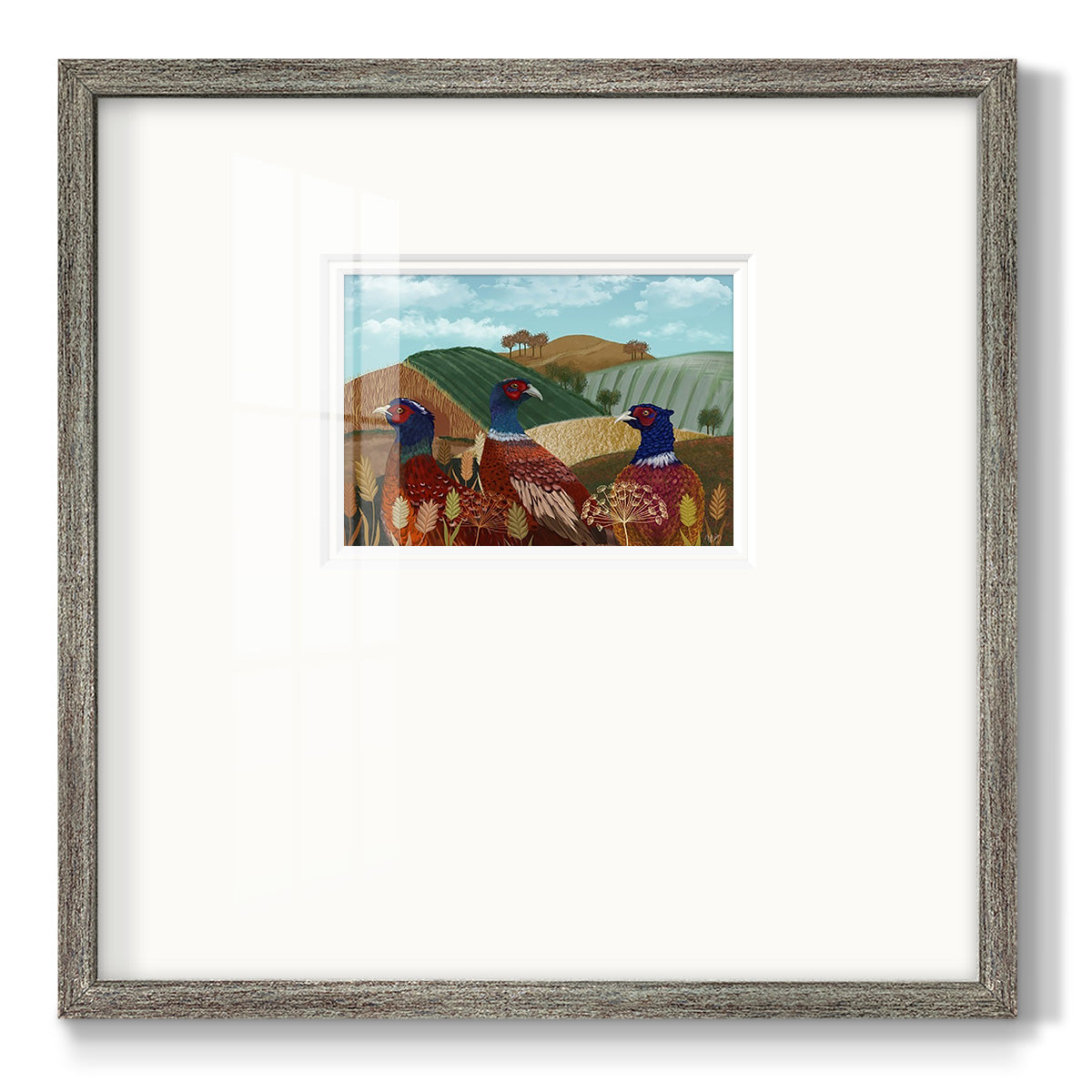 Pheasant Trio in Field Premium Framed Print Double Matboard