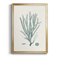 Antique Coastal Coral VII - Modern Framed Canvas Print