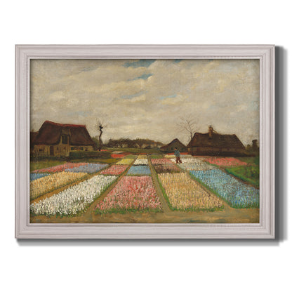Impressionist Dutch bulb field landscape by Vincent van Gogh printed on canvas in an ornate weathered white frame.