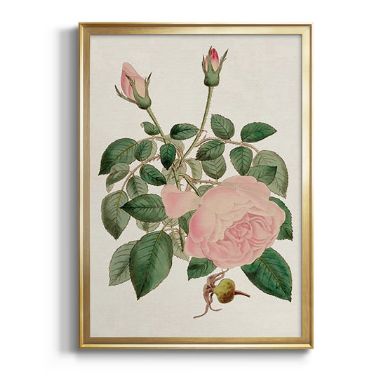 Pink Floral Mix II - Modern Framed Canvas Print