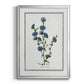 Soft Botanical I - Modern Framed Canvas Print
