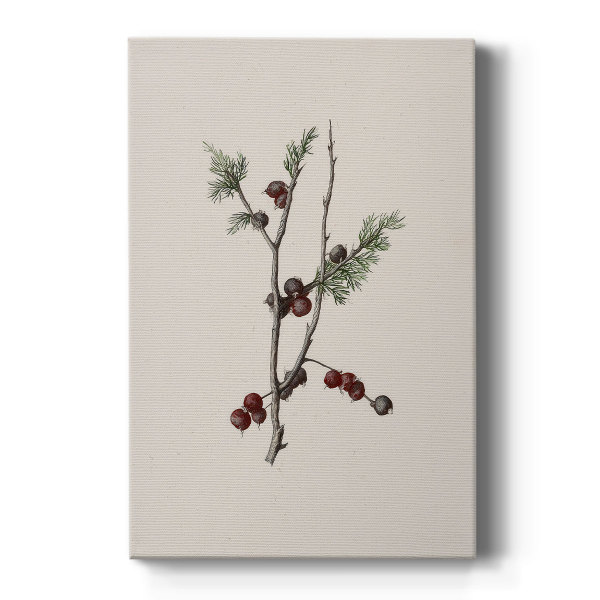 Pearled Night Serenade - Canvas Art Print