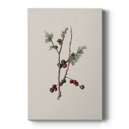 Pearled Night Serenade - Canvas Art Print