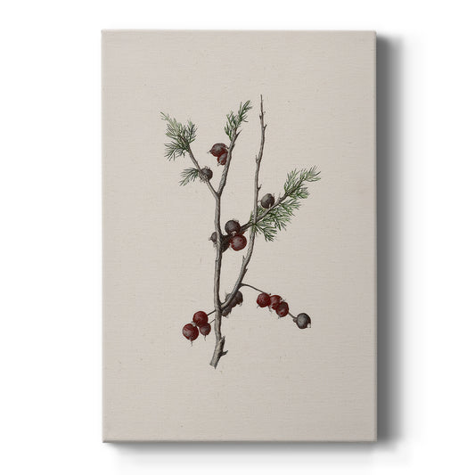Pearled Night Serenade - Canvas Art Print