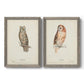 Scops- Eared Owl - Premium Framed Canvas 2 Piece Set - Ready to Hang