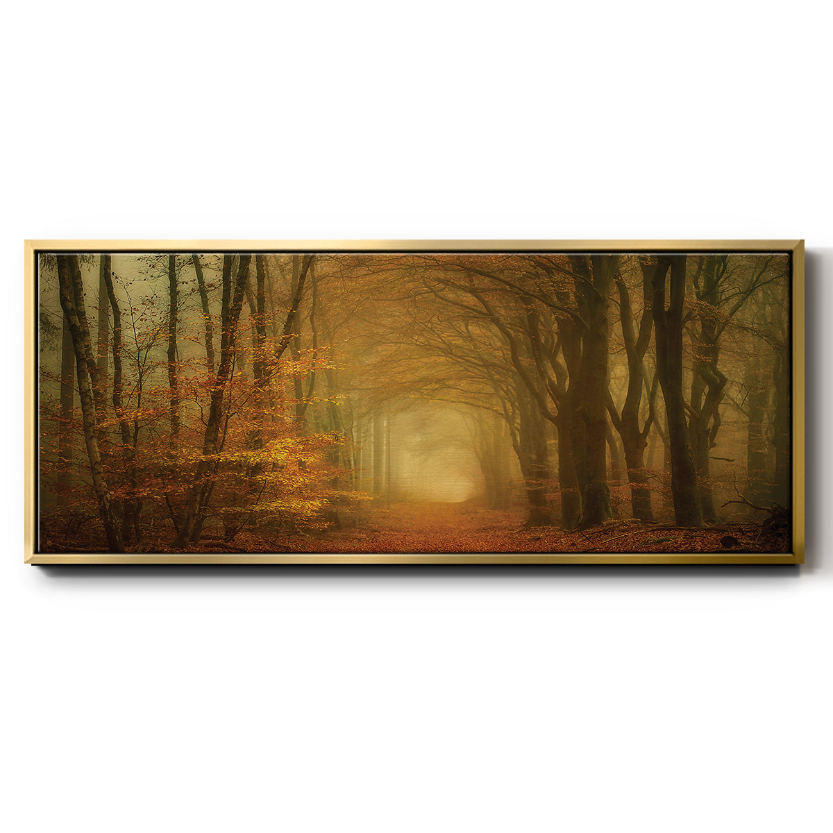 Early Light - Floater Framed Canvas Print