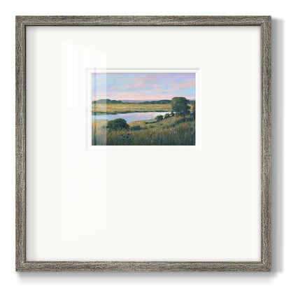 Spring Marsh II Premium Framed Print Double Matboard