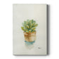 Succulent II - Canvas Art Print