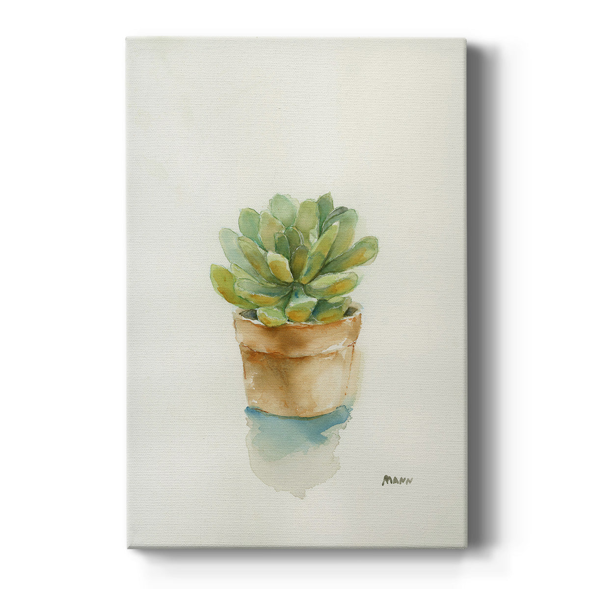 Succulent II - Canvas Art Print