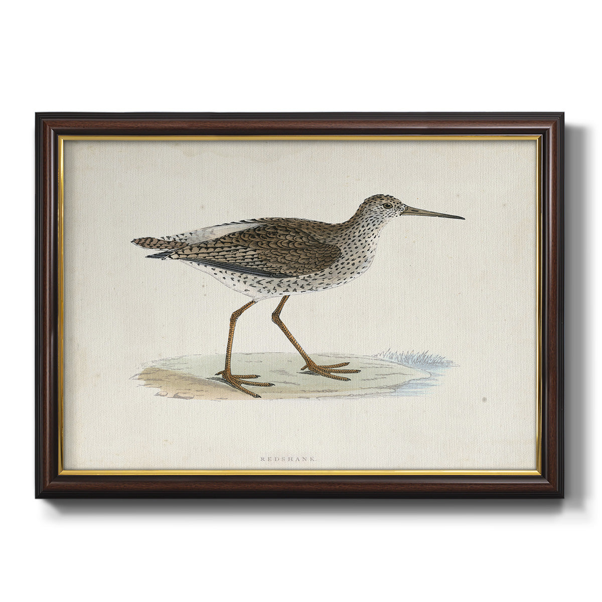 Morris Sandpipers V Premium Framed Canvas- Ready to Hang