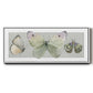 Pretty Insects II - Floater Framed Canvas Print