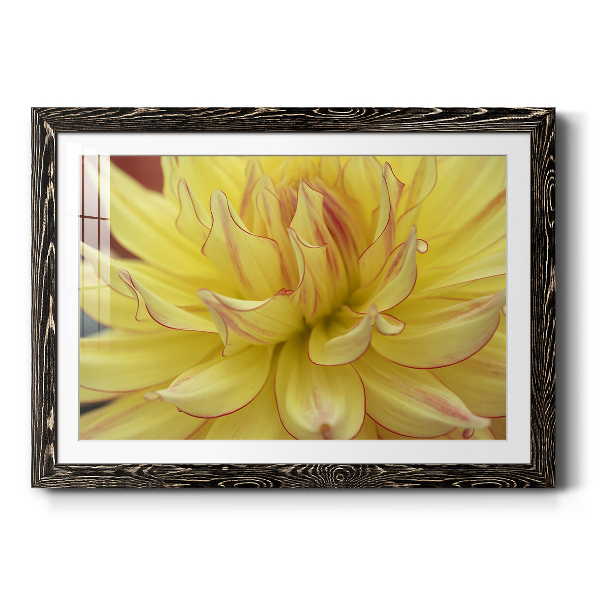 Blooms I - Barnwood Framed Art Print