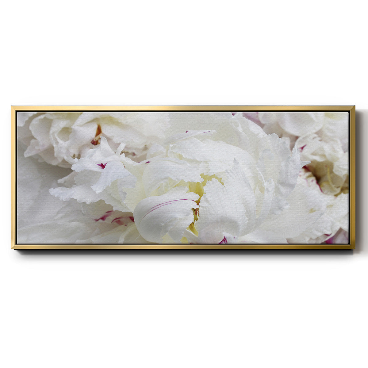 Breathless VI - Floater Framed Canvas Print