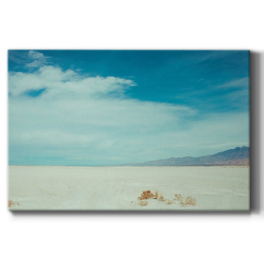 Salt Flat Walk I - Canvas Art Print